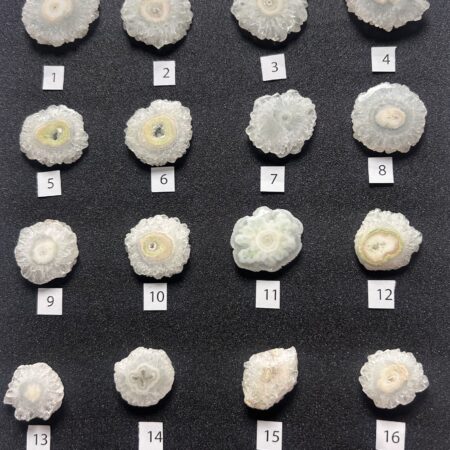 Quarzo Solare (#1–#16)