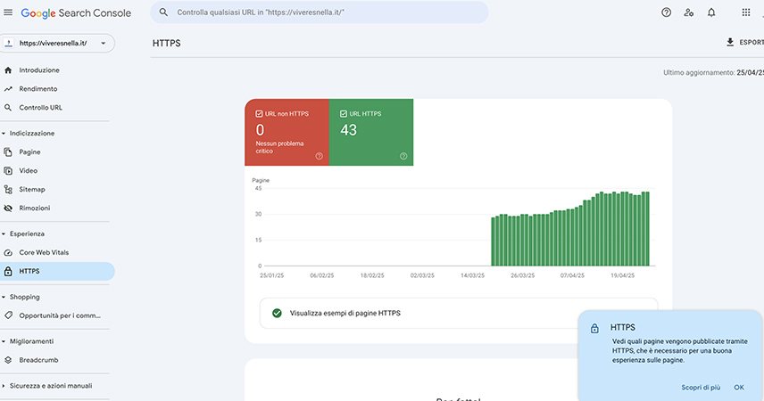 screen-monitoraggio-con-google-search-console