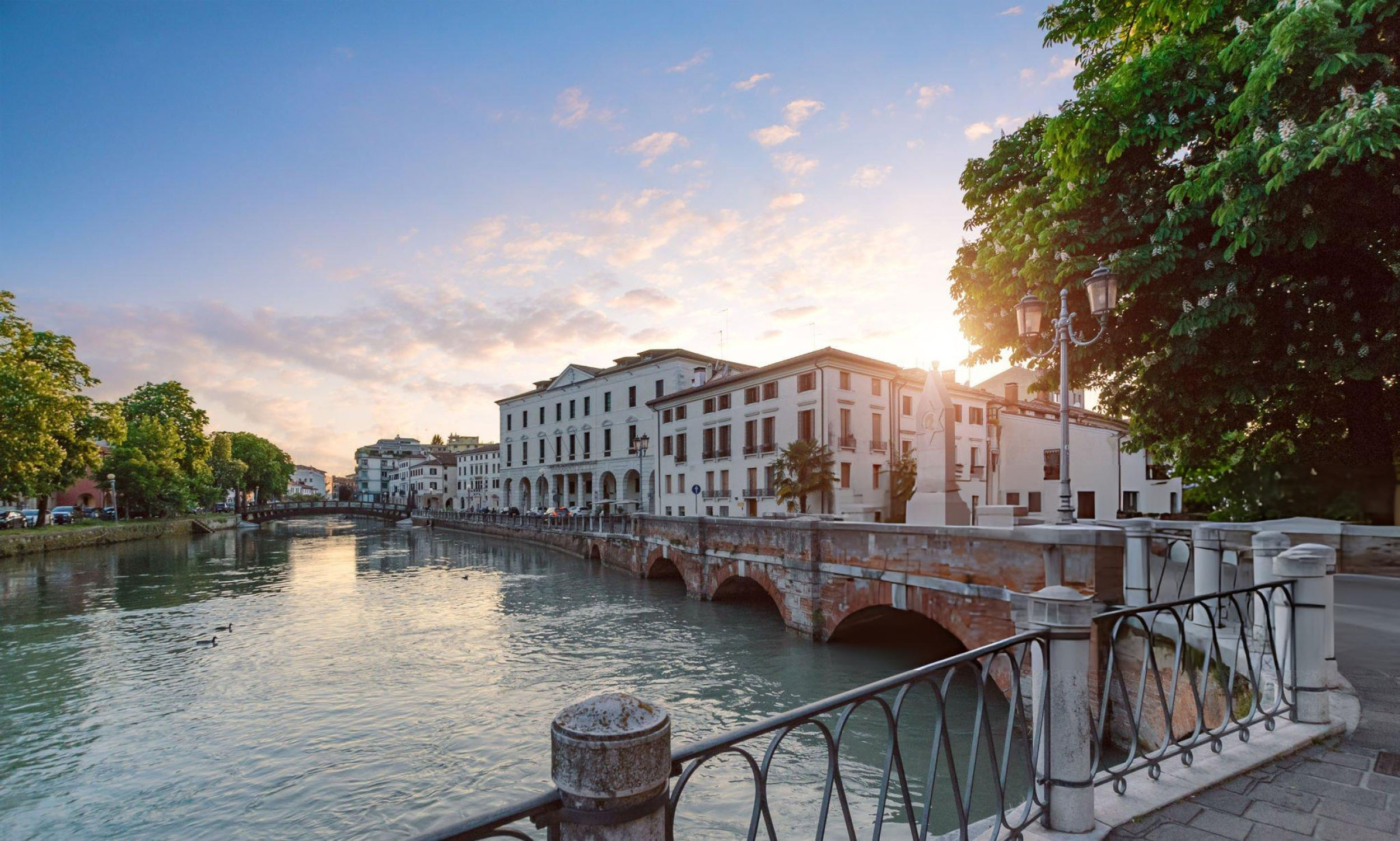 web designer Treviso al lavoro su progetti digitali