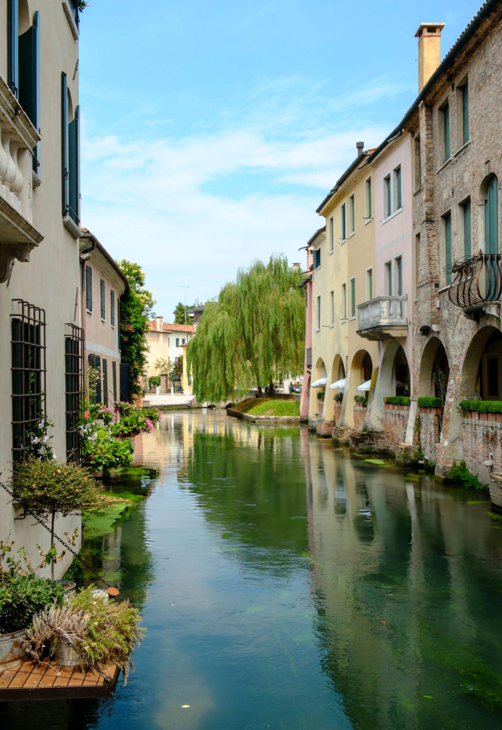 realizzazione siti internet Treviso per aziende locali